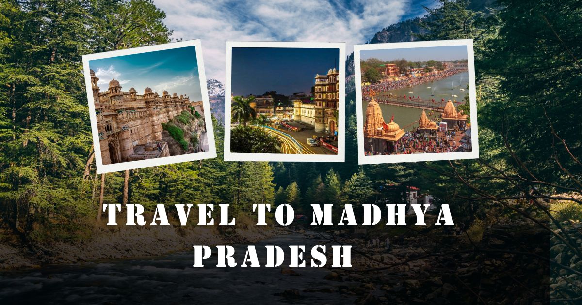 Explore Madhya Pradesh with Shekhar Trade Tours: Your Trusted Travel Companion