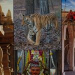 Book Taxi from Indore to Anywhere in Madhya Pradesh